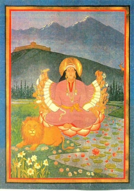 Javed Beigh tweet media