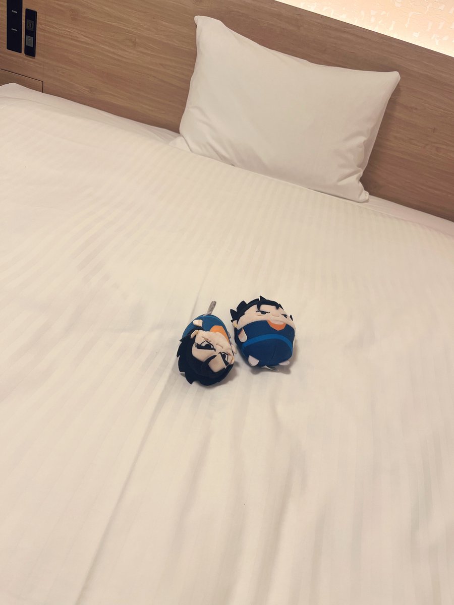 CHAOSmoDoki tweet picture