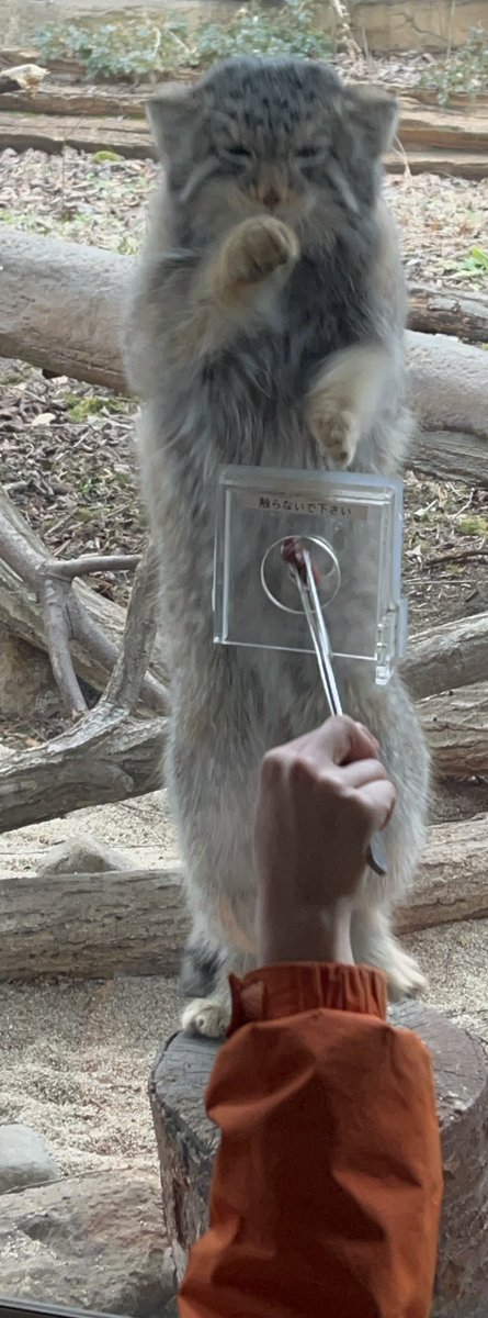 ゆーや★ tweet media