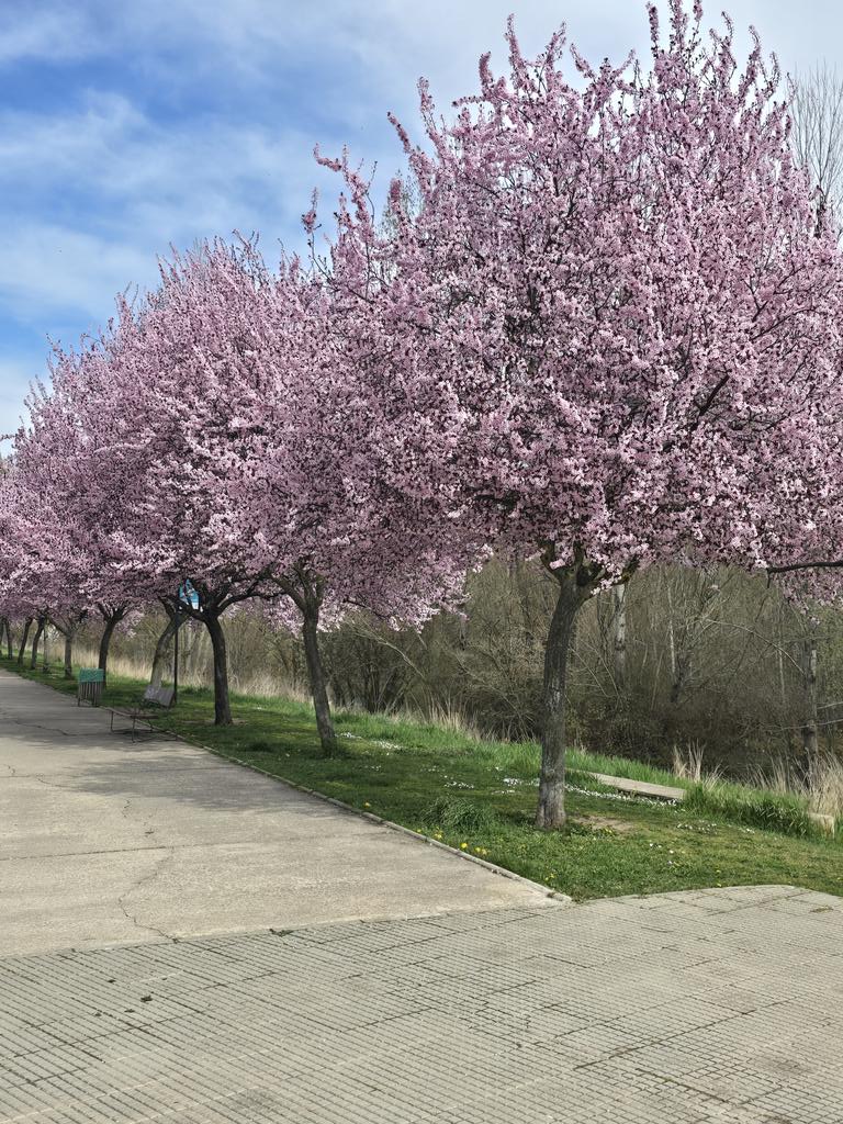 Oficialmente ha comenzado la estación del año más bonita... Al menos en la naturaleza. Mi alergia no está muy de acuerdo conmigo, pero yo así lo siento y veo. Buenas tardes.
