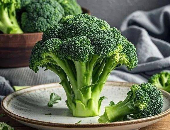 Harley E Joker tweet media