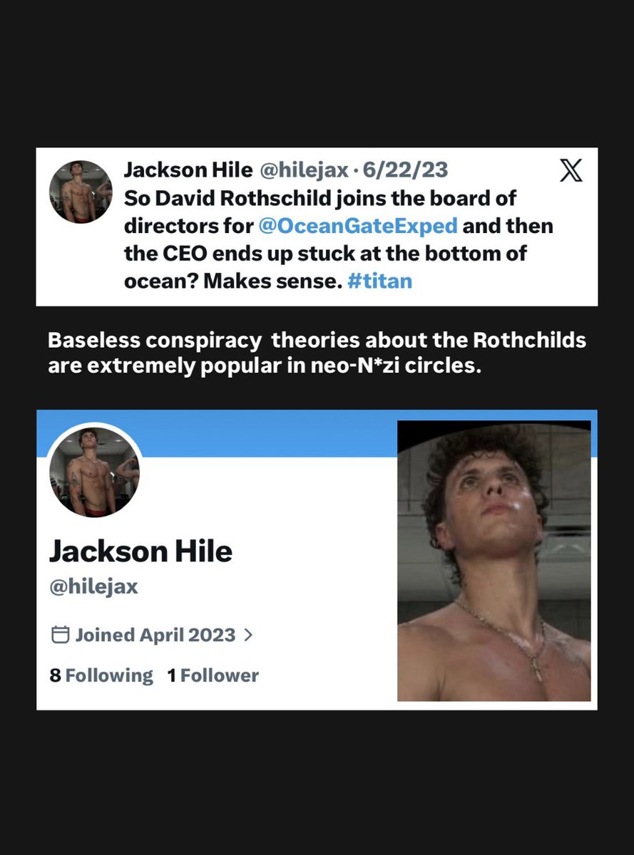 Reich-Wing Watch tweet media