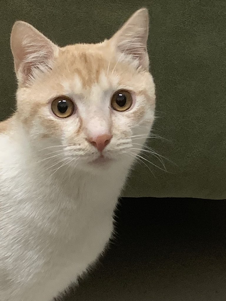 たいしゅうeveryday tweet media