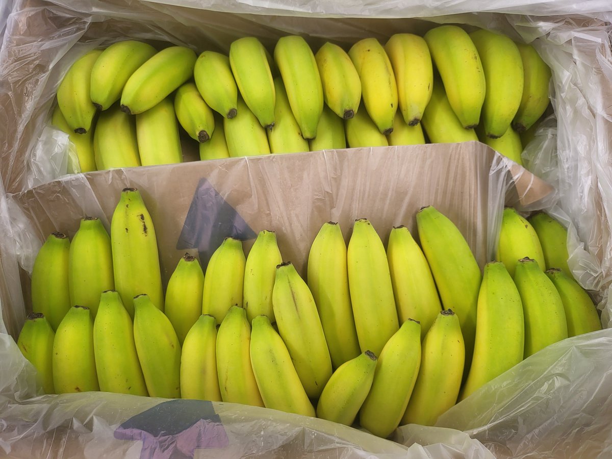 Boring Merch 🍌 tweet media