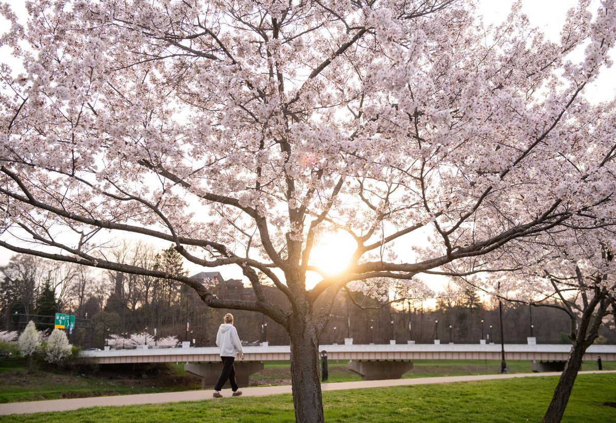 Ohio University tweet media