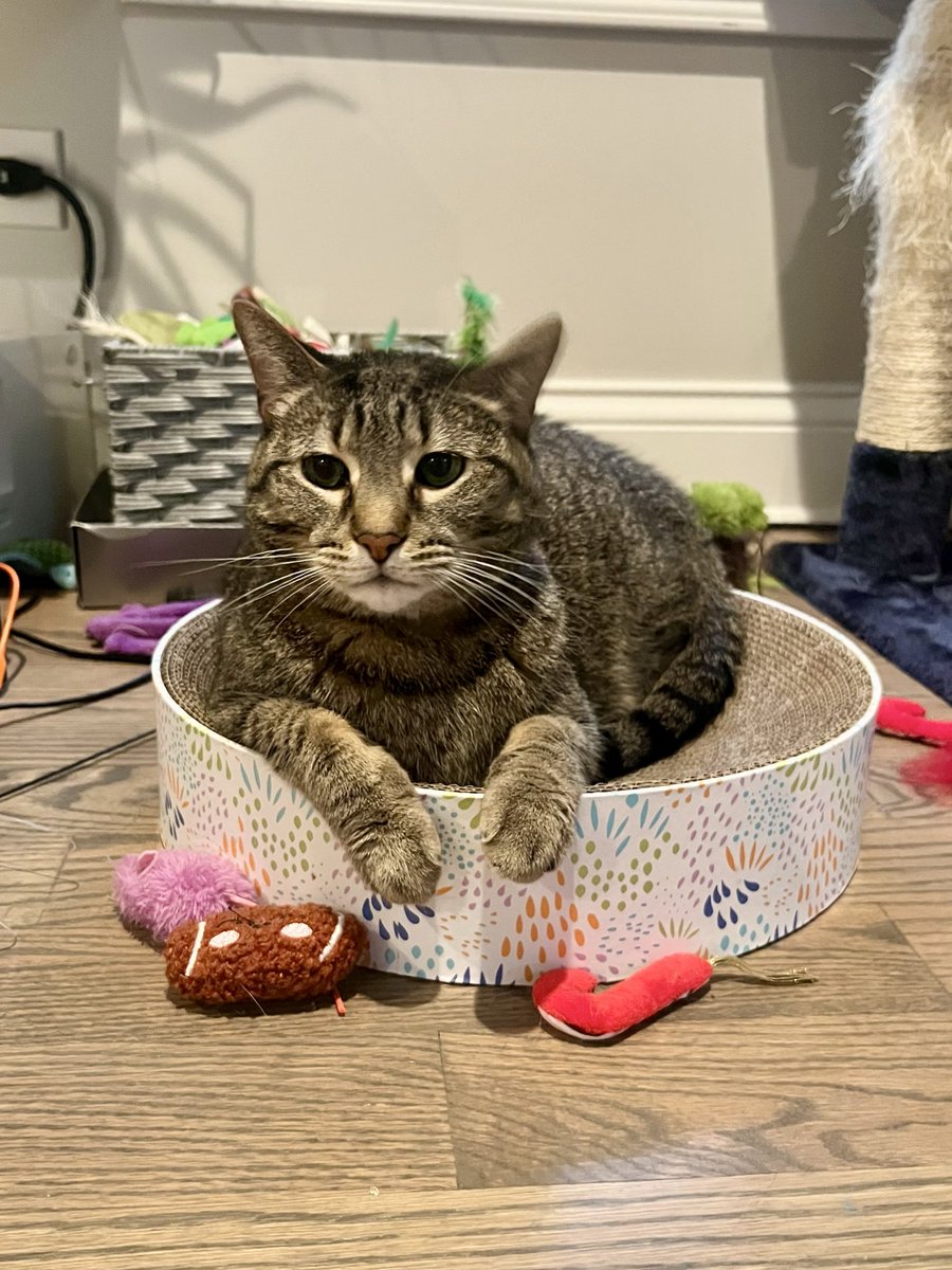 anxiety at law ❤️🔥 tweet media