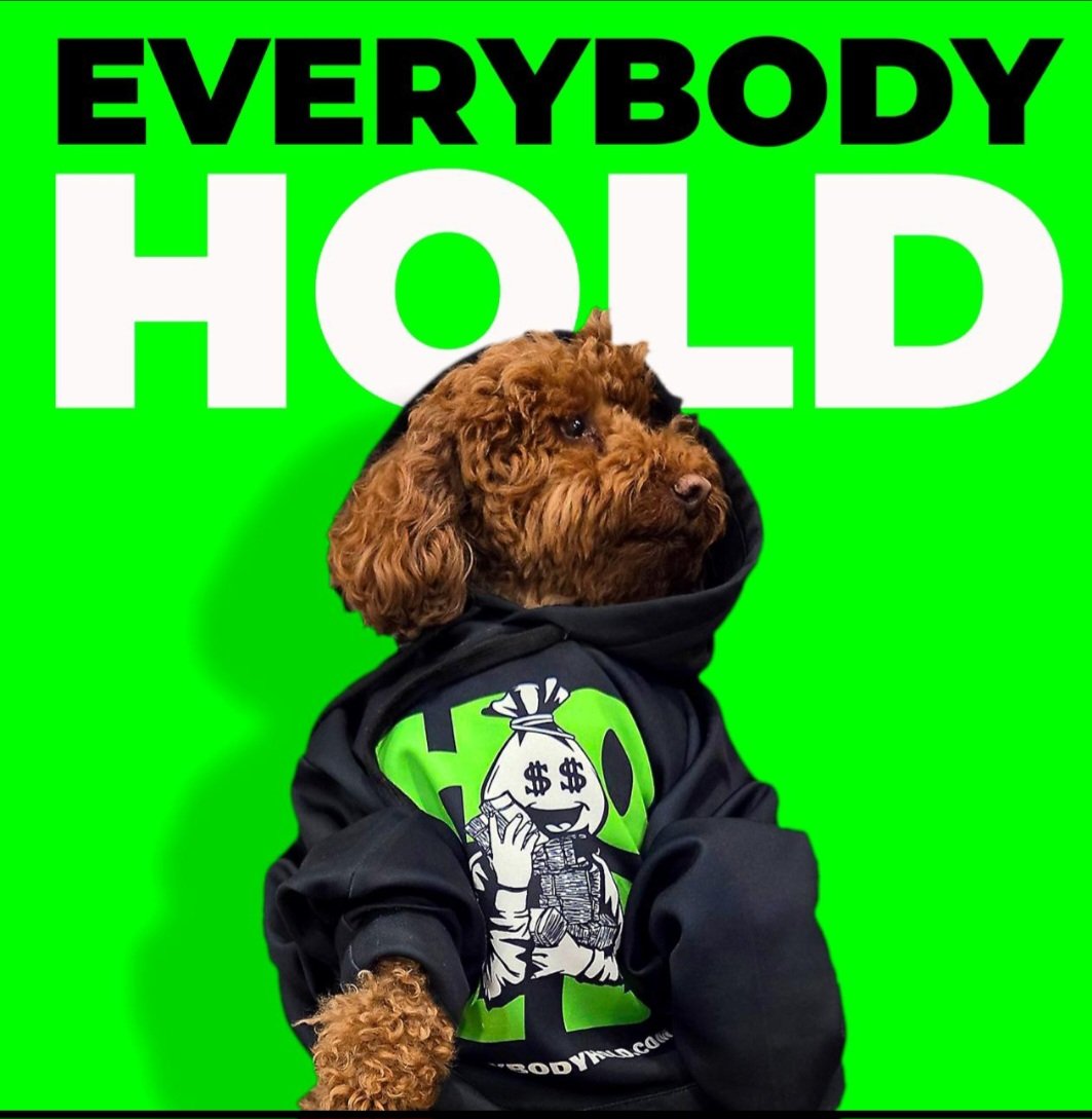 Bosco 💰 tweet media