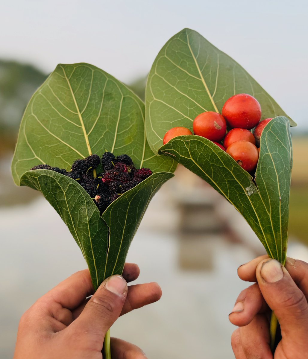 Vaidika Bharata Global Foundation tweet media