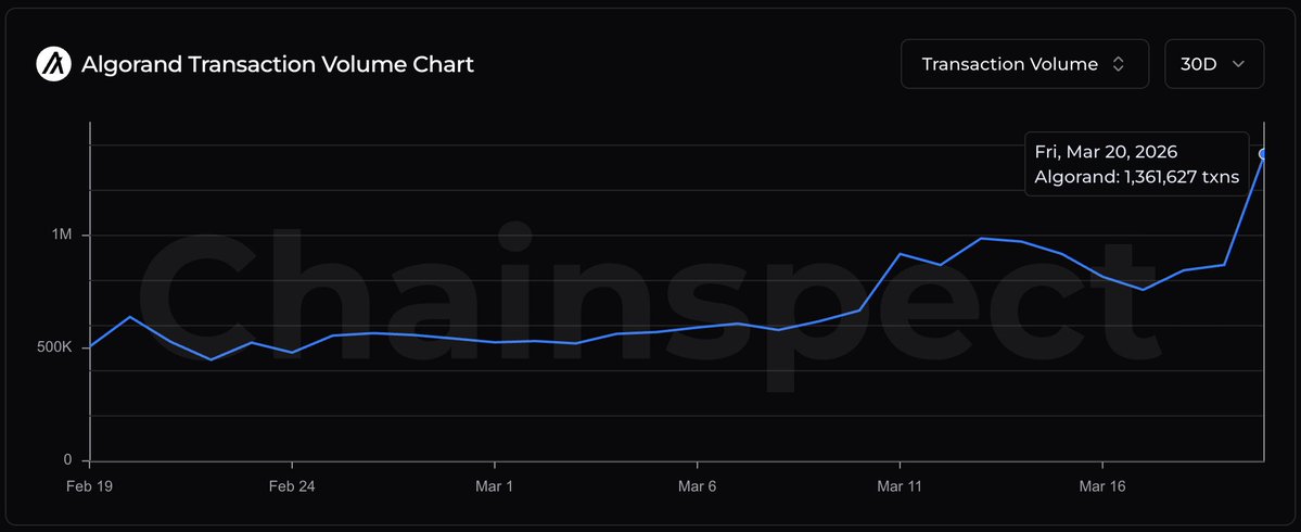 Chainspect tweet media