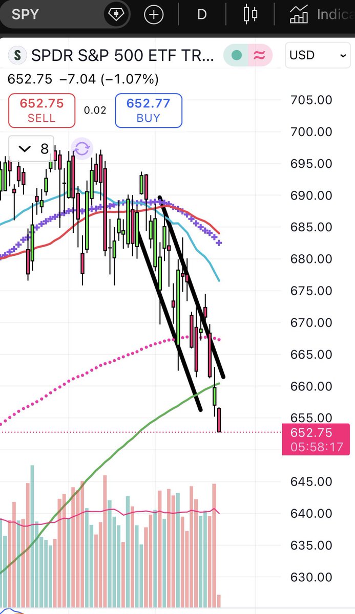 Olivia Voz tweet media