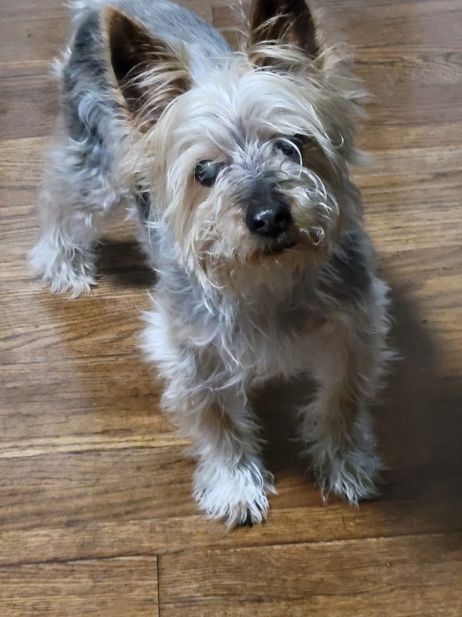 Seek Adventure tweet media