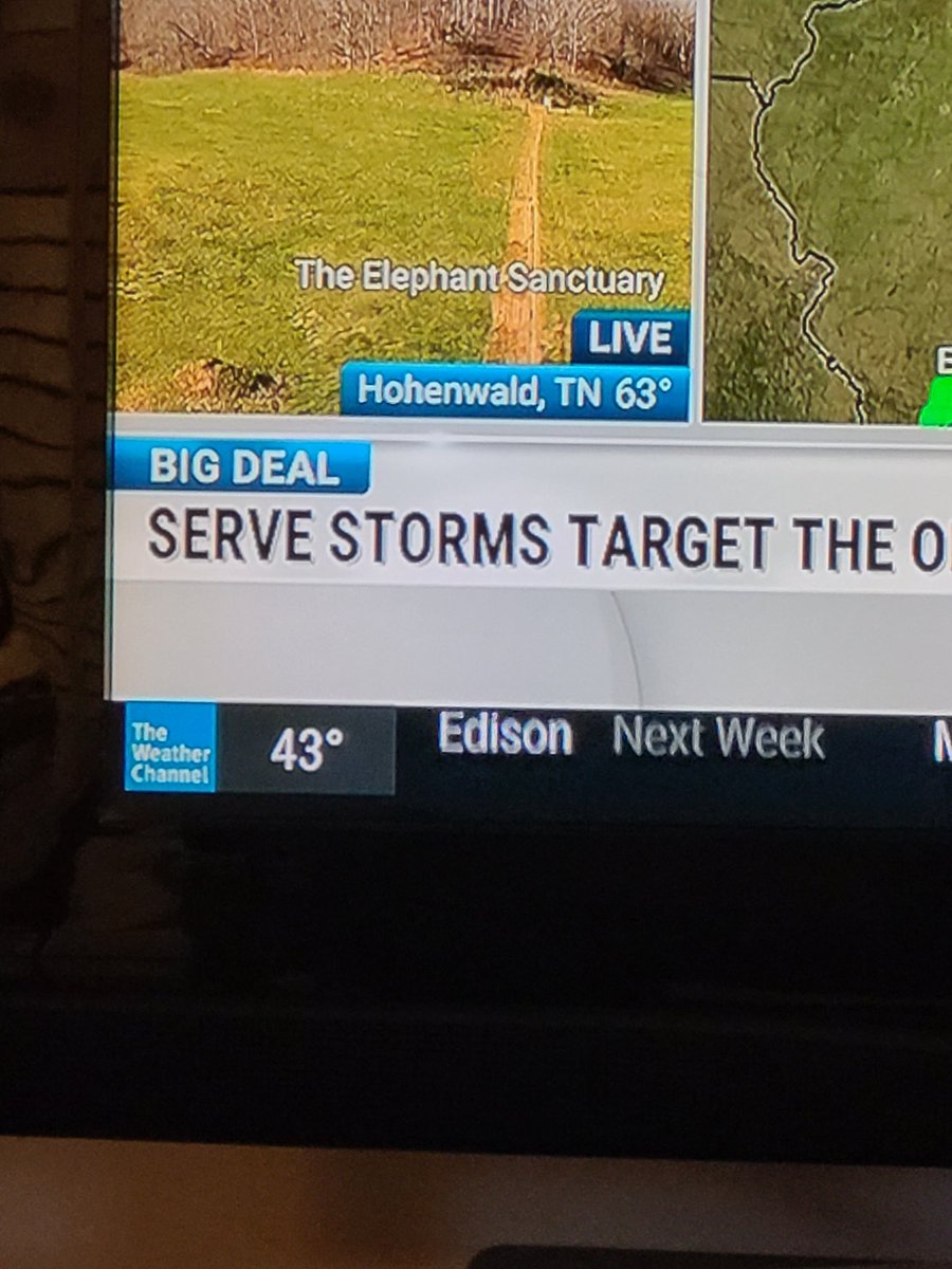 Rankins_hands ❤️🙌 🇺🇦 🐾 tweet media