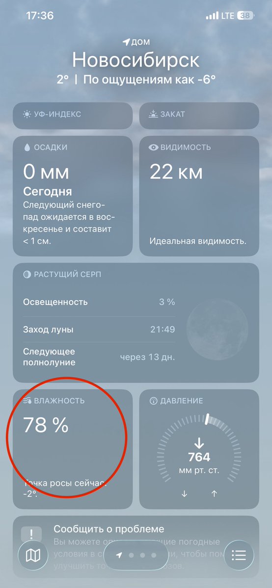 капуста tweet media