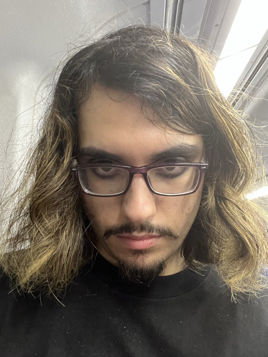 forest / real donkey hours tweet media