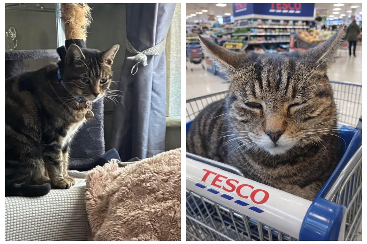 Market Rasen Mail tweet media