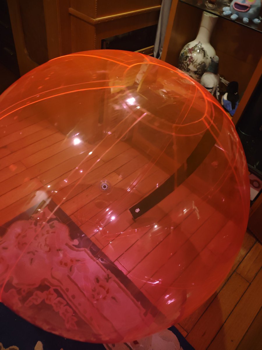 新西兰大肥鸠kererū tweet media