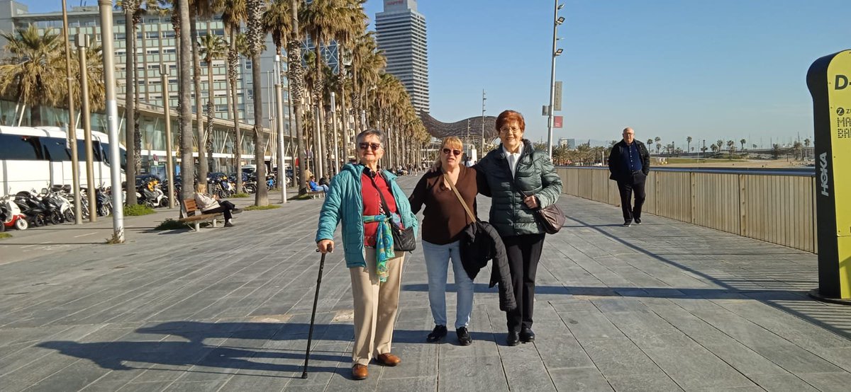 Xarxa Òmnia tweet media