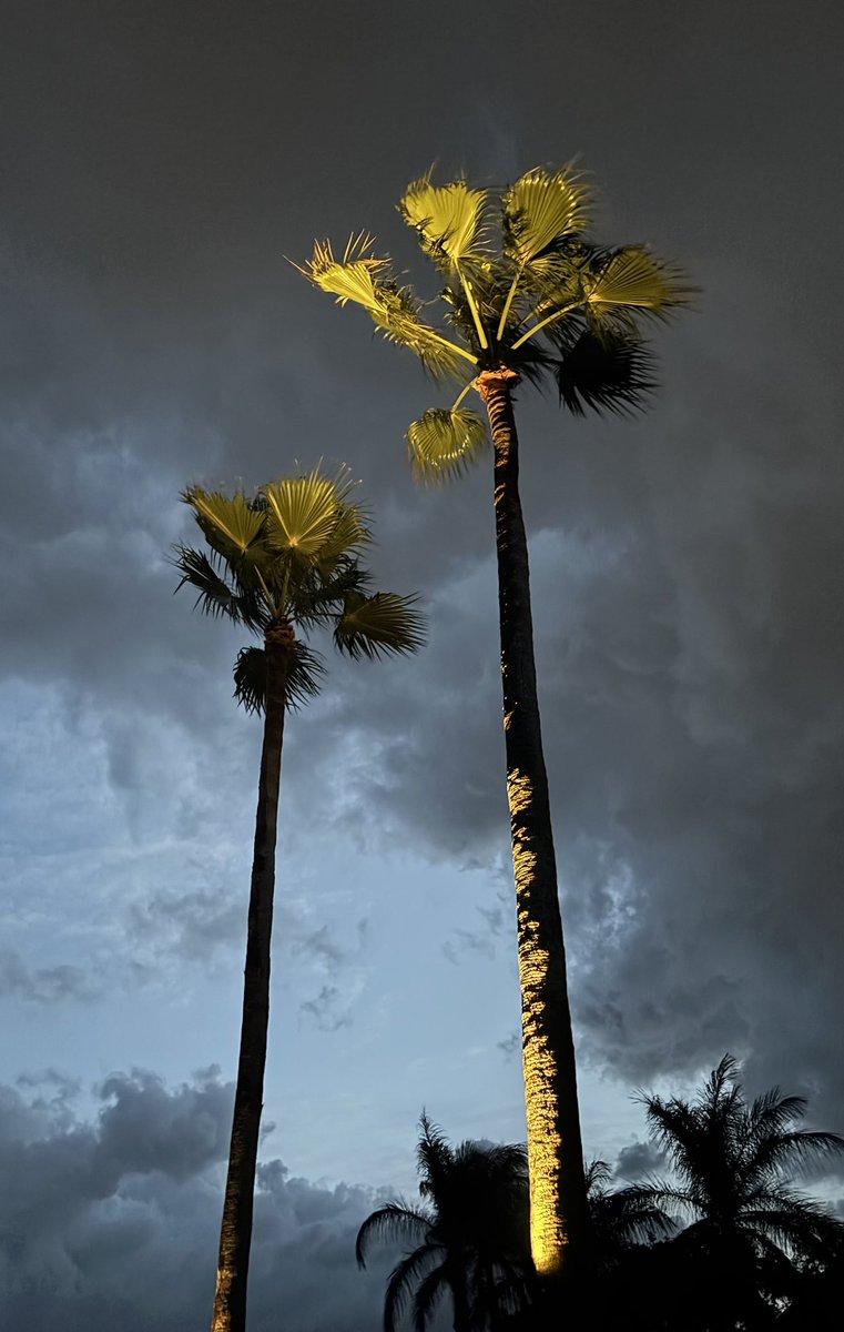 Ray Clothier tweet media