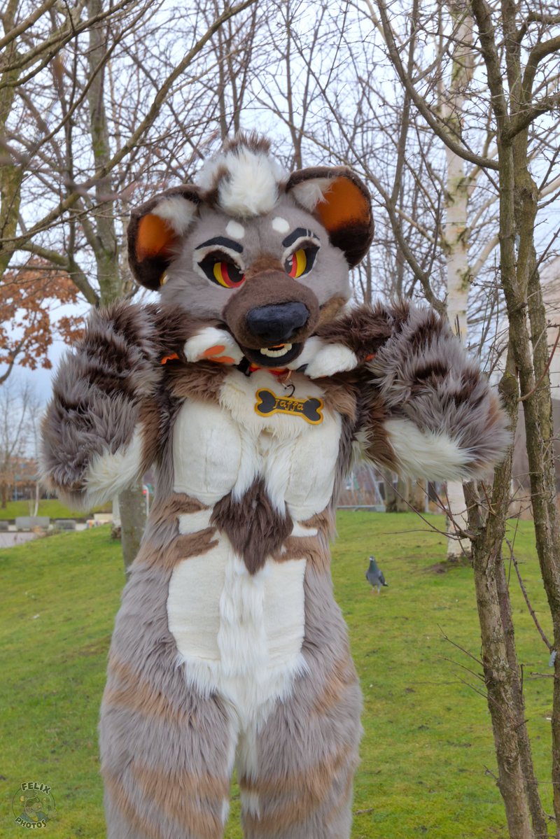 🍊🌿Jaffa🌿🍊 tweet media