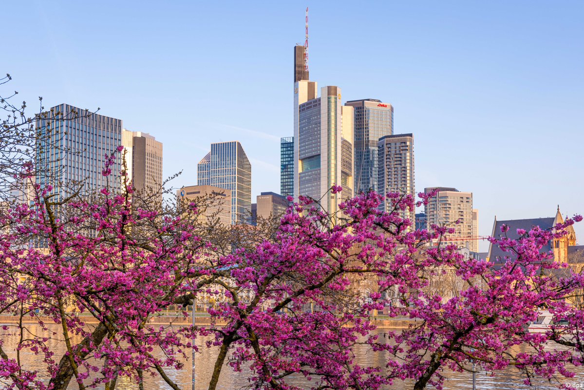 German Embassy London tweet media