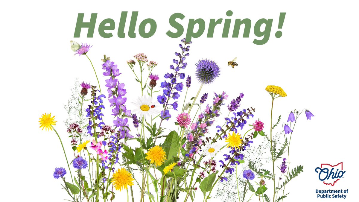 🌼 Happy first day of Spring! 🌸