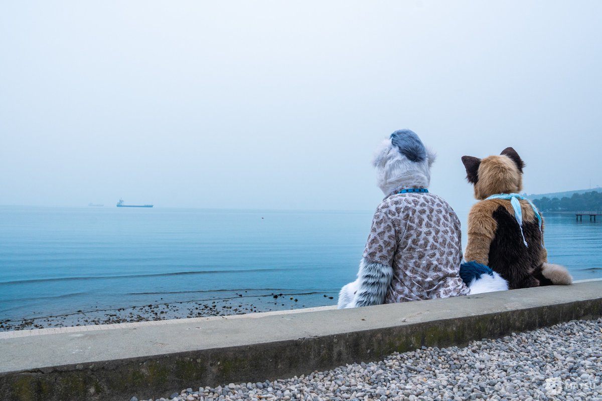 Hungarian Diva Doggo tweet media