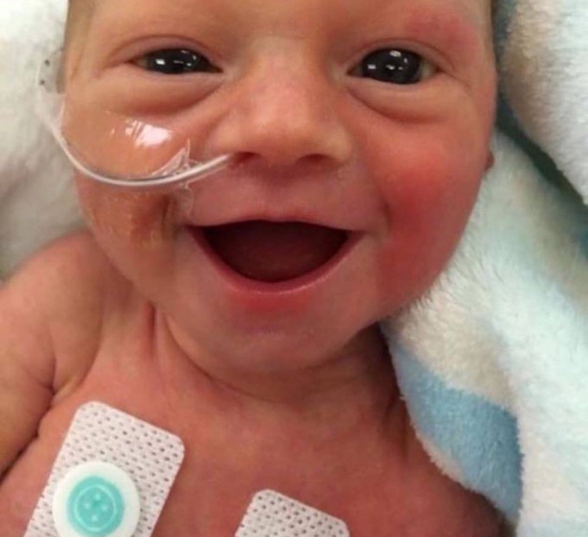 Ignacio Arsuaga tweet media