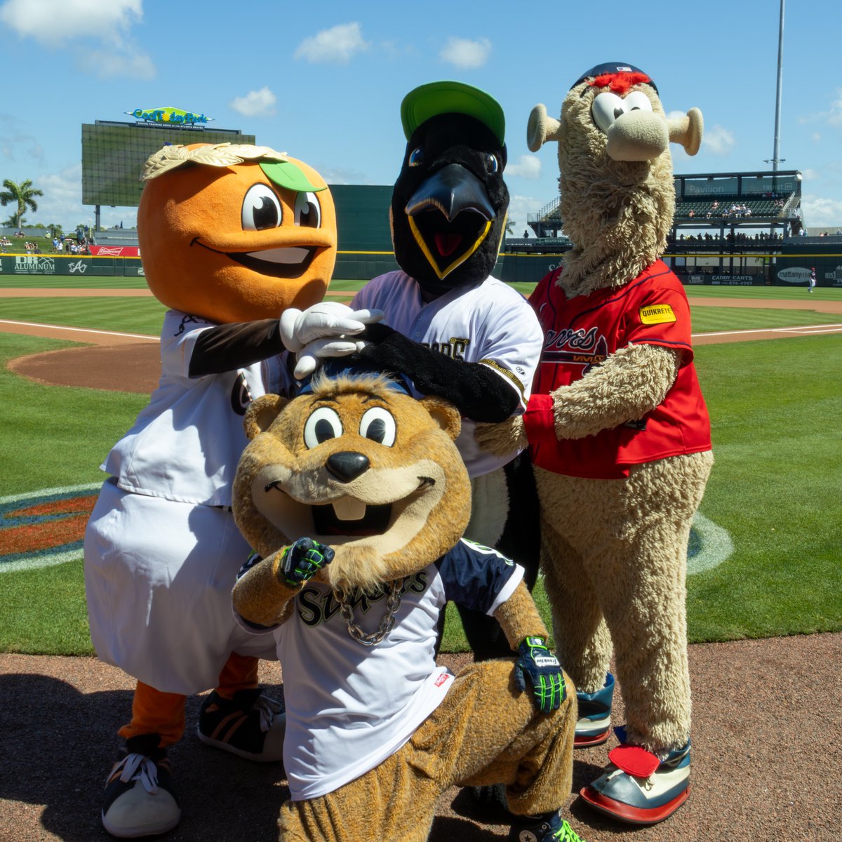 Columbus Clingstones tweet media