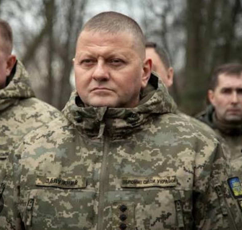 D.Radka, #NAFO 🇨🇿🤝🇺🇦 tweet media