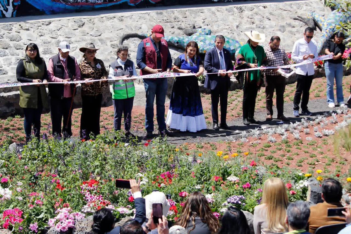 ESTADIOSdeMÉXICO tweet media