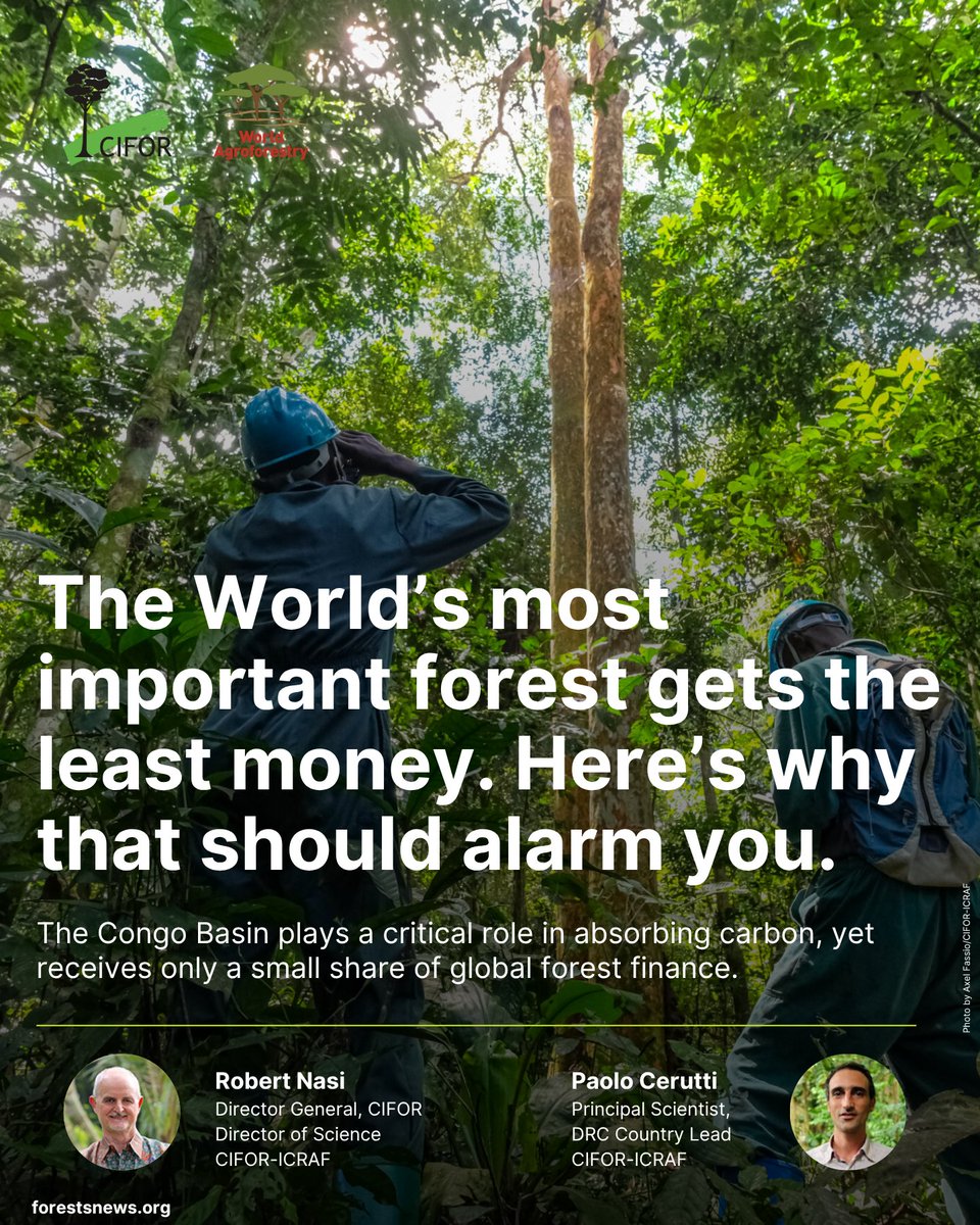 CIFOR-ICRAF tweet media