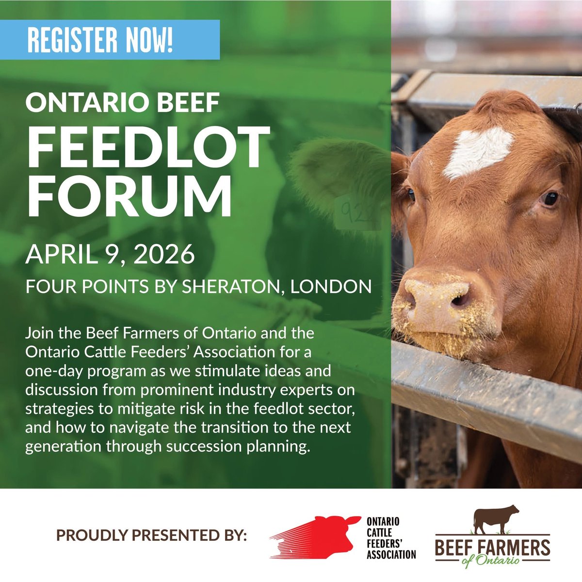 Beef Farmers of Ontario tweet media