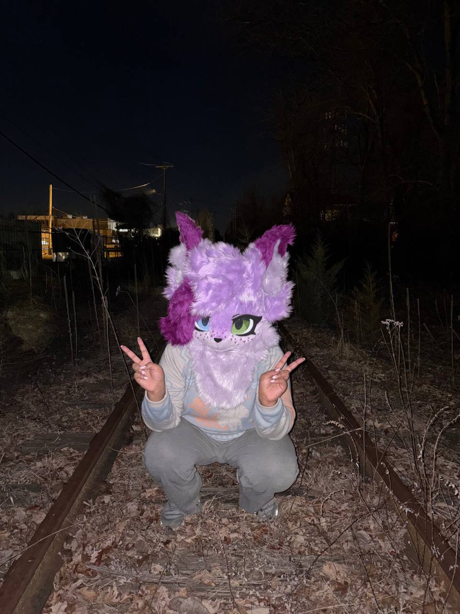 Amalyce ❄/🐱 tweet media