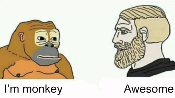 +🐸🔢 Lowcode Life 🔢🍀+ tweet media