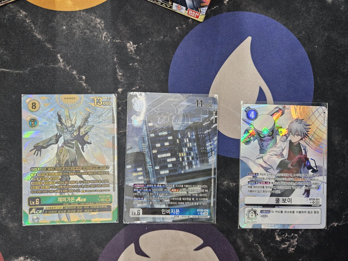 김면접 tweet media