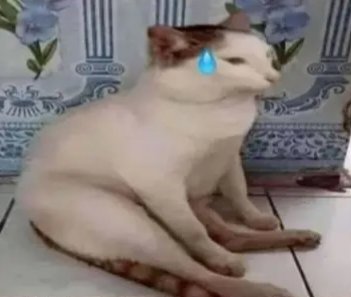 willie bin asep basuri tweet media