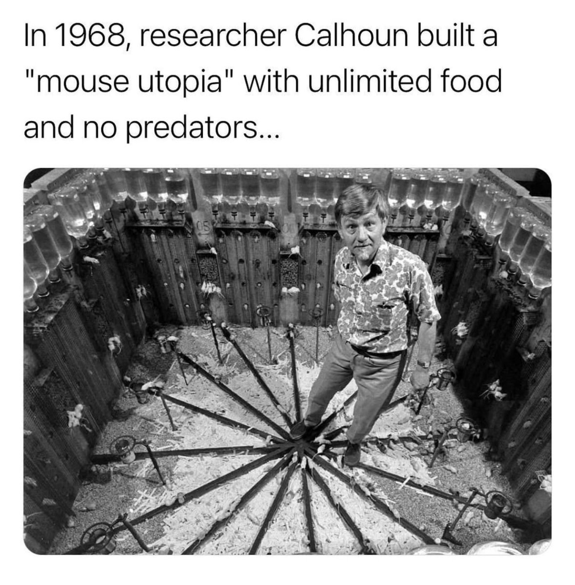 ShitpostGateway tweet media