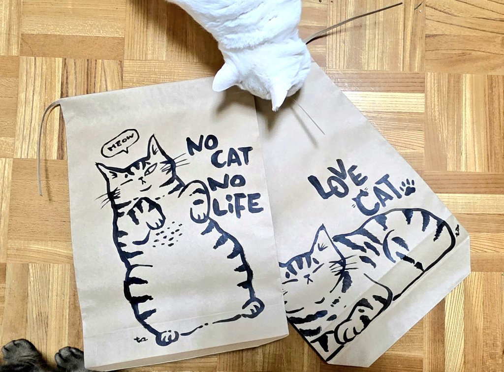 ハイツくろねこ🐈⬛🐾 tweet media