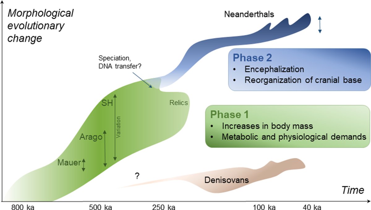 Compelling Archaeology tweet media