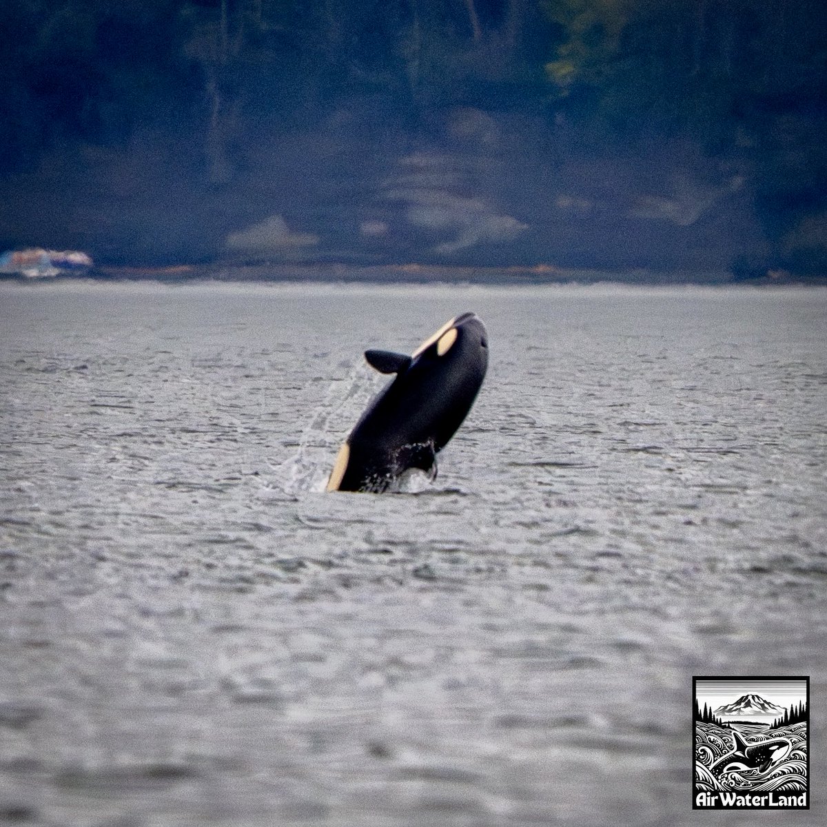 AirWaterLand Photography tweet media