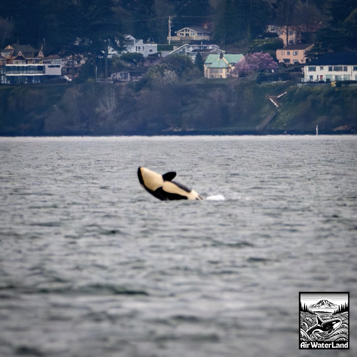 AirWaterLand Photography tweet media