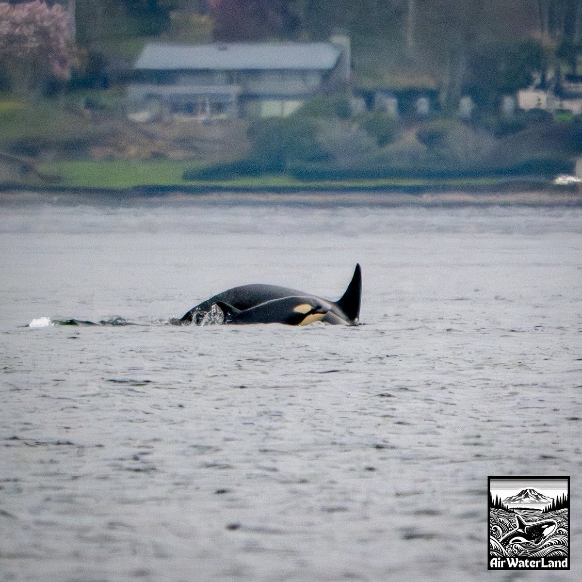 AirWaterLand Photography tweet media