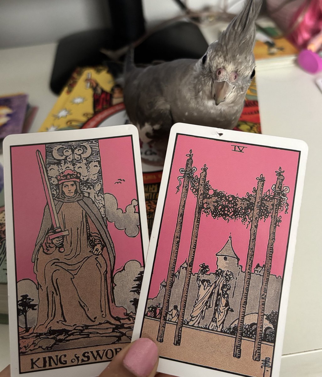 ⋆ ★ Amanda Tarot (agendamentos abertos) tweet media