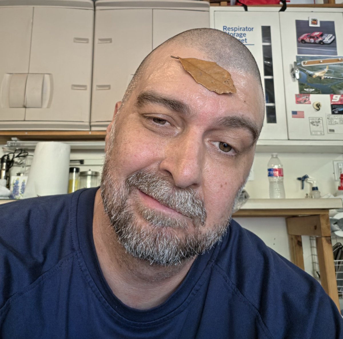 OneToothTe𝕏an tweet media