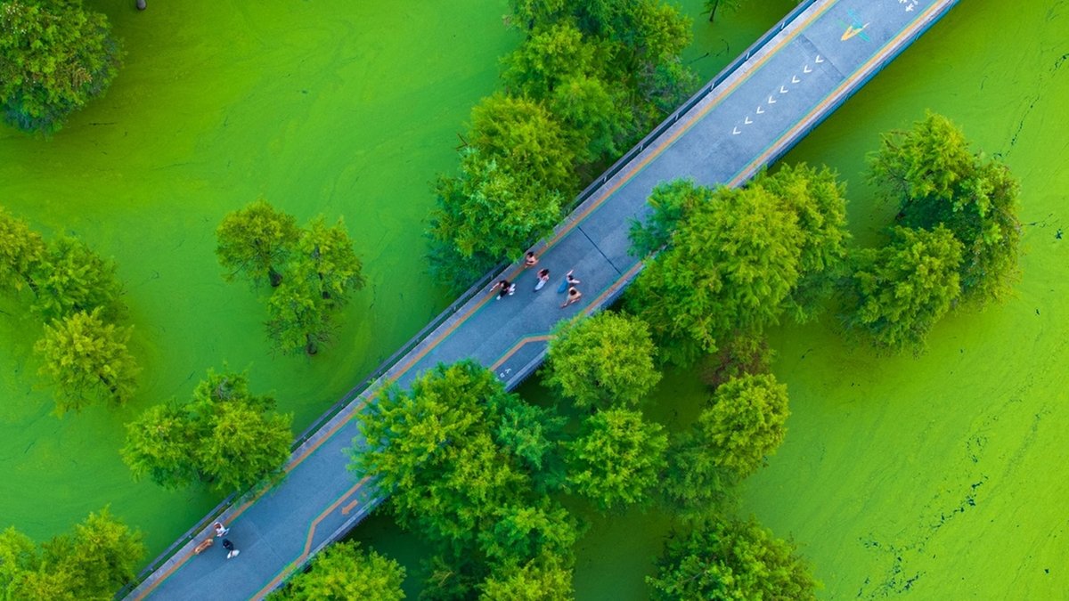 hopnooluyo tweet media