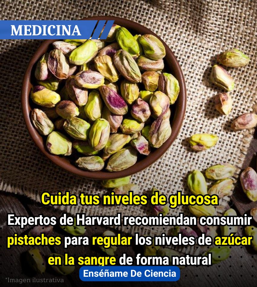 Enséñame de Ciencia tweet media