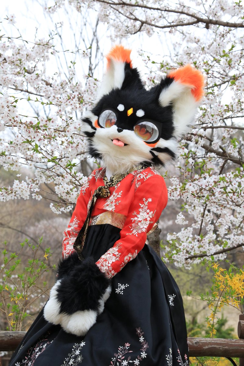 ์๋๐โโฌ๐ธ๏ธ tweet media