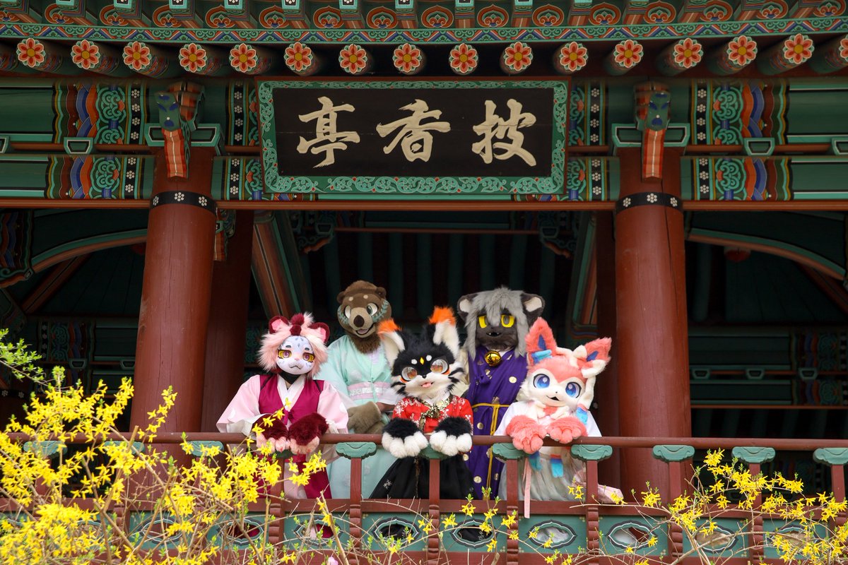 ์๋๐โโฌ๐ธ๏ธ tweet media