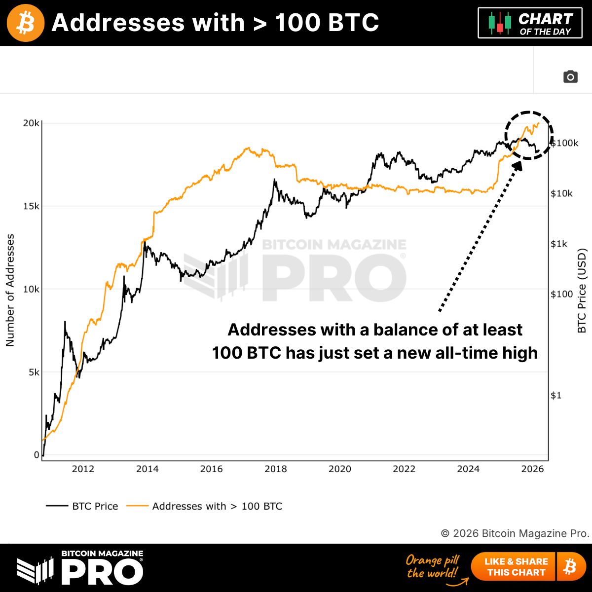 Bitcoin Magazine Pro tweet media