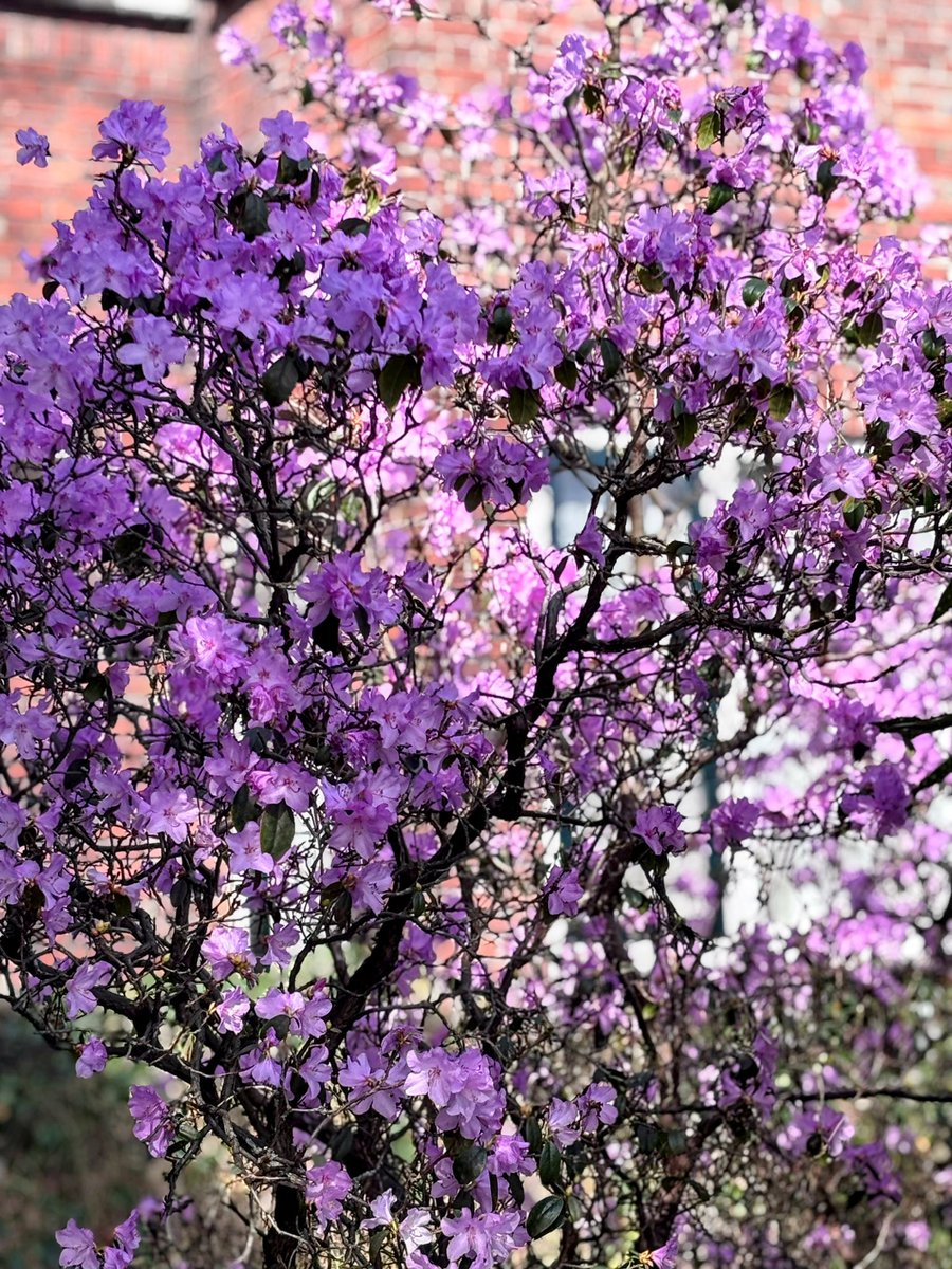 Keykisa2 tweet media